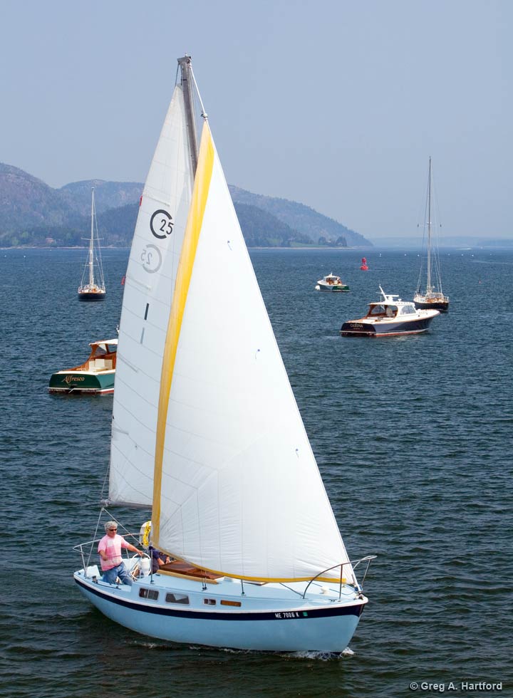 The Cal 25 foot Sceptre Sailboat Rental