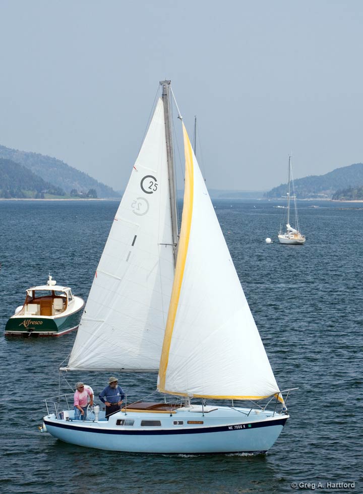 cal 25 foot sceptre sailboat rental in acadia