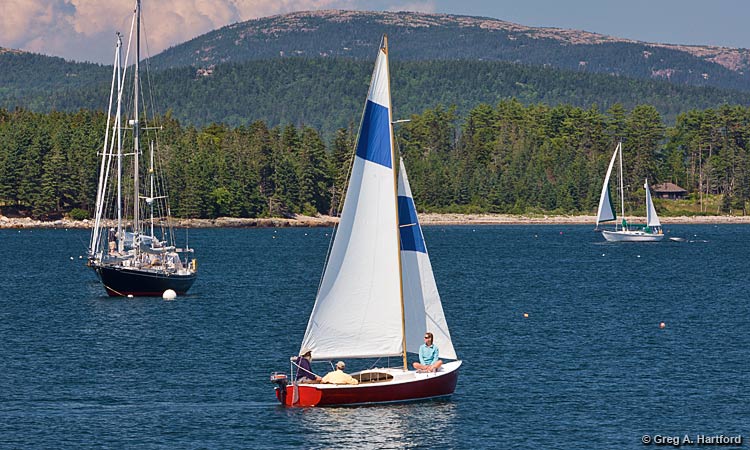 The Rhodes 19' Sailboat Rental at Mansell Boats Rental Company