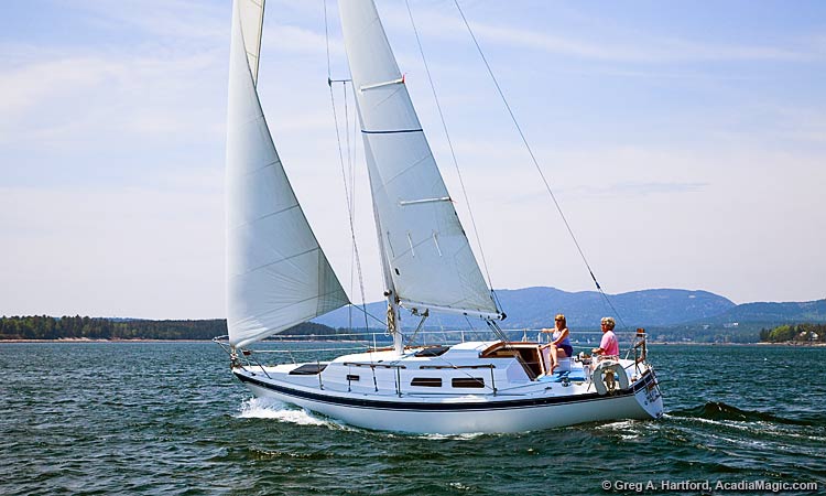 sailboat rental in maine